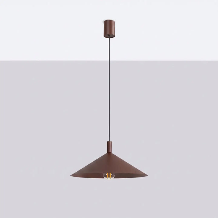 Suspension Luminaire marron éteinte, vue rapprochée