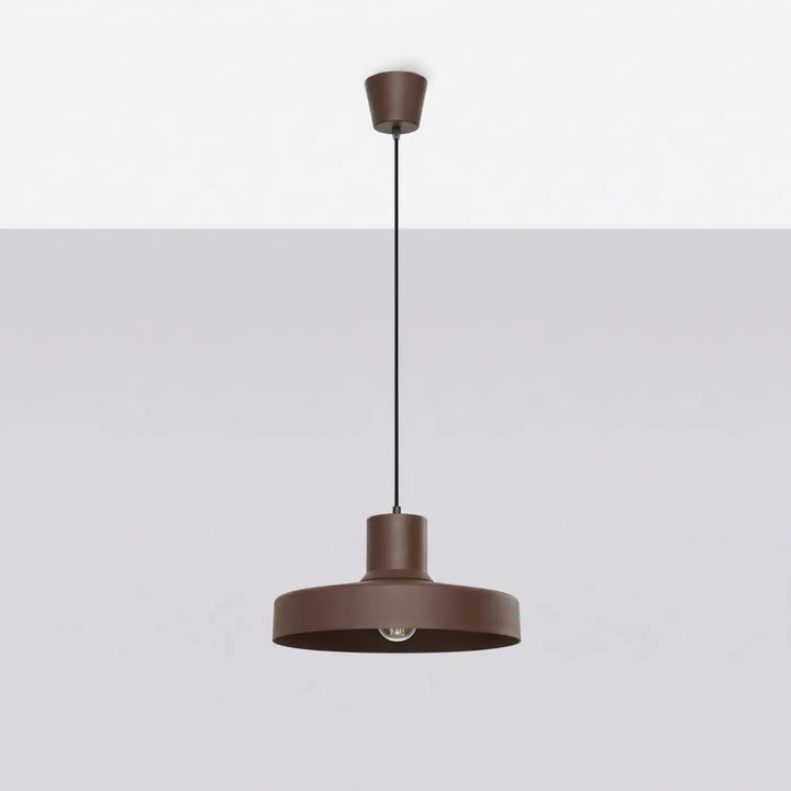 Suspension Luminaire marron éteinte, vue rapprochée